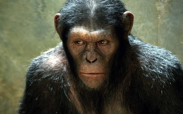 10. Disney ve Fox birleşmesinden sonra, Fox’un en başarılı yapımlarından olarak görülen Maymunlar Cehennemi evrenine yeni bir film katılması için Disney çalışmalara başladı.