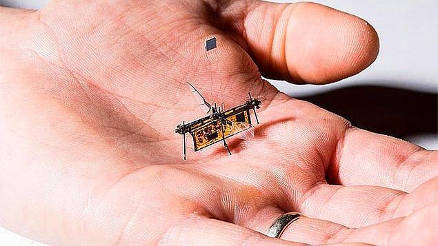 13. Sinek boyutunda ve sineğin hareketlerini taklit edilen bir mikro-robot tasarlandı.