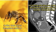 Duyduklarında Küçük Bir Şok Yaşadıkları Gerçekleri Paylaşan Bu İnsanların Şaşkınlıklarına Siz de Ortak Olacaksınız!