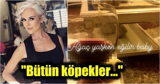 Hamileyken Şarap İçerken Paylaştığı Fotoğraf Yüzünden Tepki Çeken İpek Tanrıyar'ın Takipçilerine Çıkışı Olay Oldu