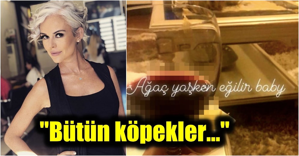 Hamileyken Şarap İçerken Paylaştığı Fotoğraf Yüzünden Tepki Çeken İpek Tanrıyar'ın Takipçilerine Çıkışı Olay Oldu