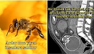 Duyduklarında Küçük Bir Şok Yaşadıkları Gerçekleri Paylaşan Bu İnsanların Şaşkınlıklarına Siz de Ortak Olacaksınız!