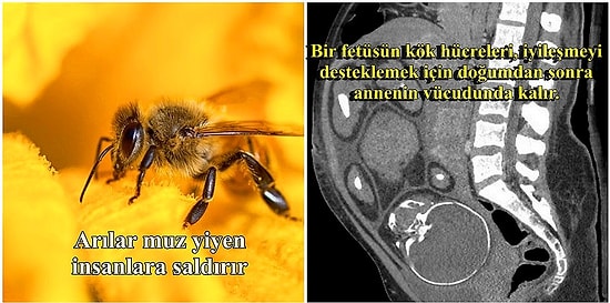 Duyduklarında Küçük Bir Şok Yaşadıkları Gerçekleri Paylaşan Bu İnsanların Şaşkınlıklarına Ortak Olacaksınız!