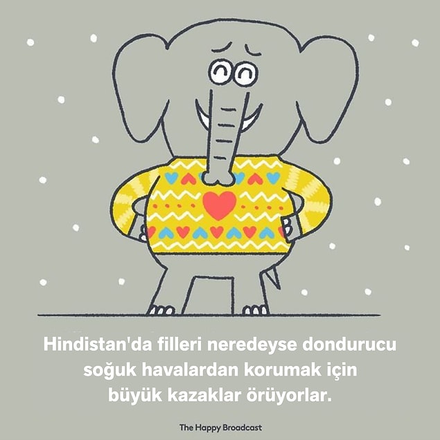 18. 🐘🧣