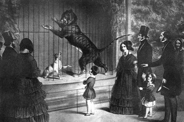 1. 18. yüzyılda insanlar hayvanat bahçelerini aslanları beslemek için kedi ve köpek getirebiliyordu.