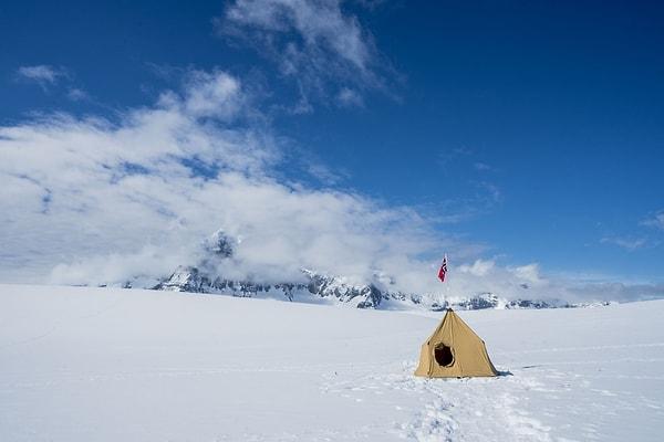 11. Antarktika kıtasındaki ilk Tinder eşleşmesi 2014 yılında gerçekleşmiştir.
