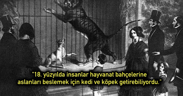 Kulağa İnanılmaz Derece Bol Keseden Sallanmış Gibi Gelse de Tamamı Yüzde Yüz Gerçek 21 İlginç Bilgi