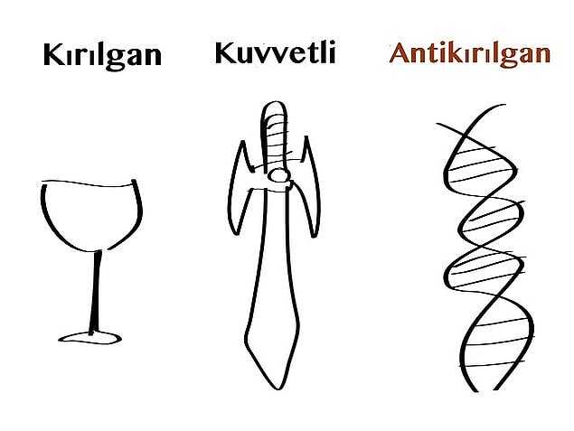 Onun bilgece sözlerinden önce ortaya attığı, benzersiz anti-kırılganlık tezini sizlere özetleyelim.