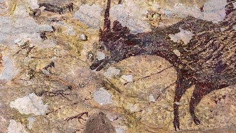 44 Bin Yıllık Sanat Eseri: Dünyanın En Eski Mağara Resmi Endonezya'da Bulundu