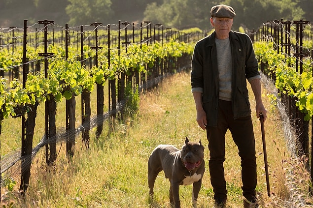 1. 1) Star Trek: Picard
