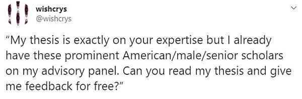 4. “Tezim tam olarak sizin uzmanlığınızla ilgili ama danışma panelimde zaten önde gelen Amerikalı/erkek/kıdemli akademisyenler var. Tezimi okuyabilir ve bana ücretsiz olarak geri bildirim verebilir misiniz?”