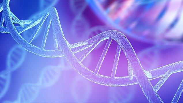 2004'te Alaska'da gerçekleşen bir saldırı vakasının soruşturması sırasında, DNA veritabanı incelenerek suçlunun asıl kimliği tespit edilmeye çalışılmış.