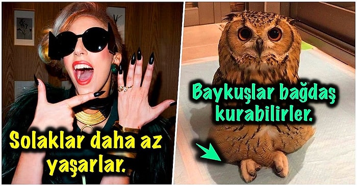 Bu Soğuk Günlerde Etkilemek İstediğiniz İnsanla Konuşurken Araya Sıkıştırdığınız Zaman Ortamı Isıtacak Eğlenceli 17 Bilgi