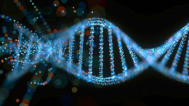 1967 - Stanford Üniversitesinde bir grup bilim adamı, eşi tekrar yapılabilen DNA'yı ayrıştırmayı başardı.