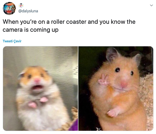 2. "Roller Coaster'a binmişsindir ve kameranın sana doğru yaklaştığını biliyorsundur"