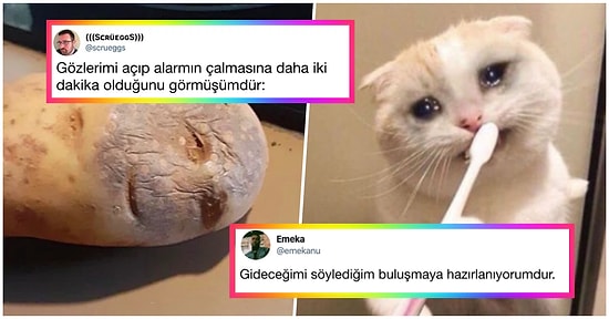 2019'da Attıkları Tweetlerle Yüz Binlerce Beğeni Alarak Herkesi Gülmekten Kıran 27 Mizahşör