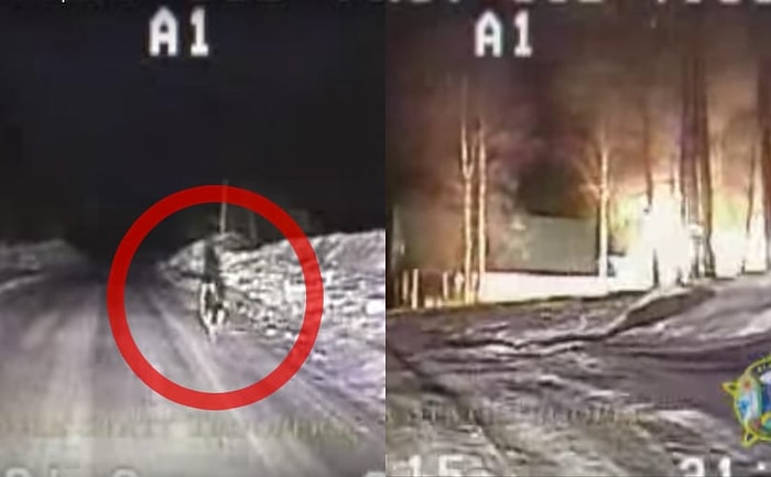 Yangına Müdahale Etmeye Giden İtfaiye Ekiplerini Karşılayarak Evin Yolunu Gösteren Kahraman Köpek