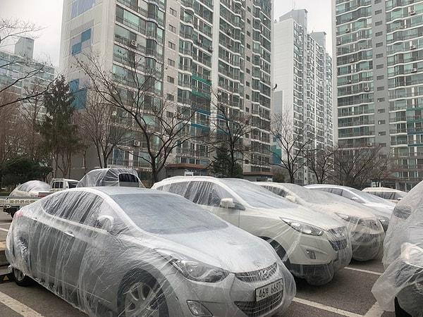 2. Kore'de bir apartman boyanacağı zaman, boyacılar, tek bir damla bile sıçramasın diye bütün arabaları kapatmışlar.