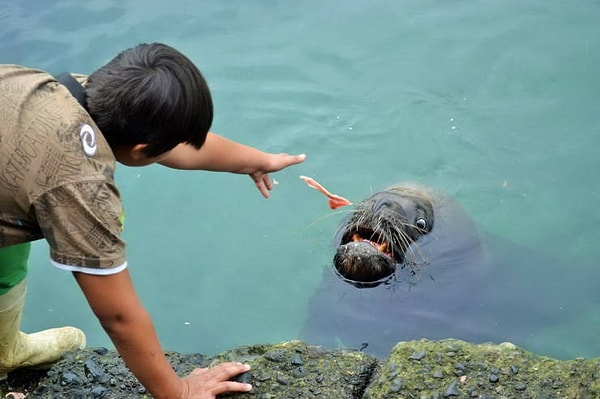 6. Ты не ты, когда голоден