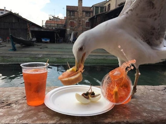 Кадры, сделанные в самый нужный момент, которы 100% не получится заснять специально