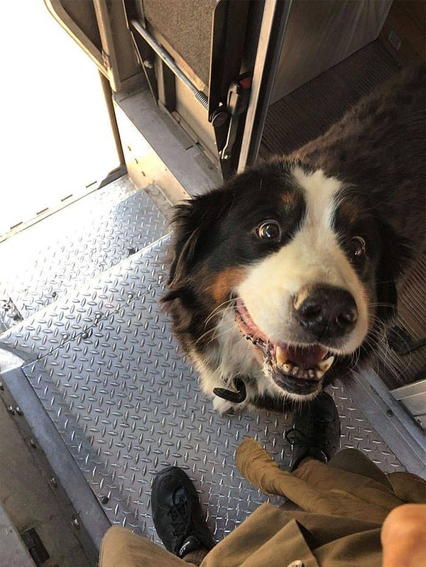 3. Милашка из Техаса