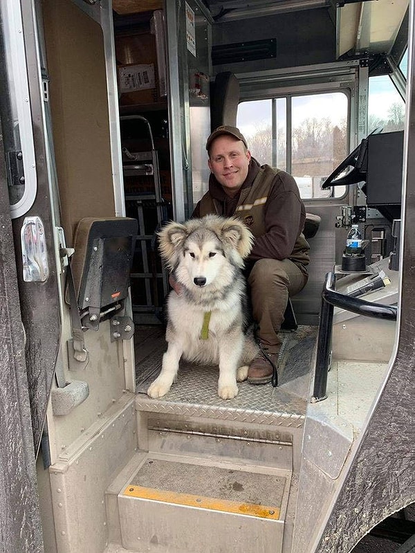 4. Йети нравится, когда Дейв приходит в гости с печеньем