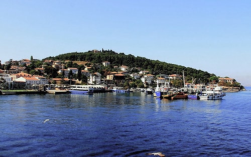 Büyükada'da 'Ruam' Tedirginliği: Sokaklar Sessiz, Rezervasyonlar İptal