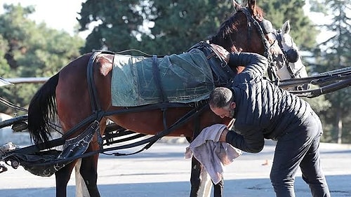 Büyükada'da 'Ruam' Tedirginliği: Sokaklar Sessiz, Rezervasyonlar İptal