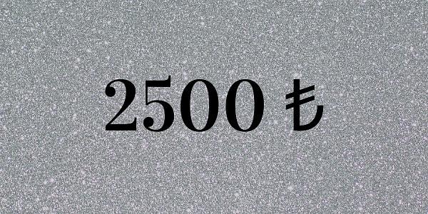 2500 ₺!