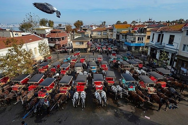 "Yıllardır emek harcayan 3. nesil faytoncularımızı asla yok saymıyoruz"