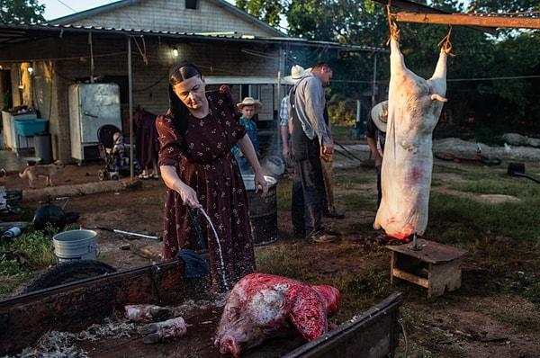 65. Ana Ham kestikleri domuzun kafasını yemedikleri için çalışanlarına vermeden önce temizliyor. Nadia Shira Cohen imzalı bir fotoğraf.
