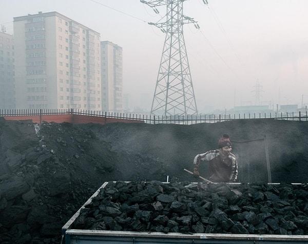99. Moğolistan'da yerli bir kömür satıcısı, bir Matthieu Paley fotoğrafı.