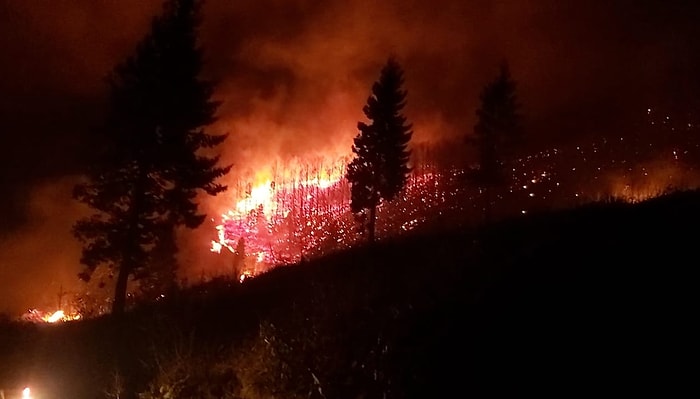 Trabzon'da 10 İlçede 22 Farklı Orman Yangını Çıktı: 'Vatandaşların Yangınlara Karşı Dikkatli Olmaları Gerekmektedir'