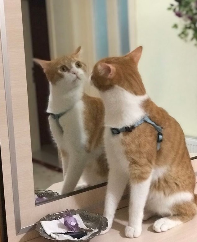 6. "Kim bu yakışıklı? Aaa benmişim."