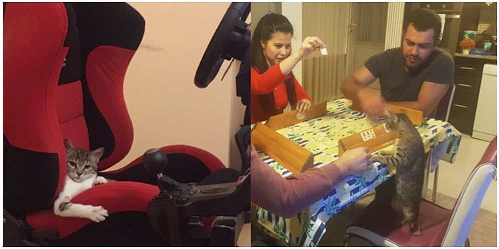Evcil Hayvanlarının En Saçma Hallerini Paylaşarak Hem Şaşırtan Hem de Kahkaha Attıran 35 Kişi