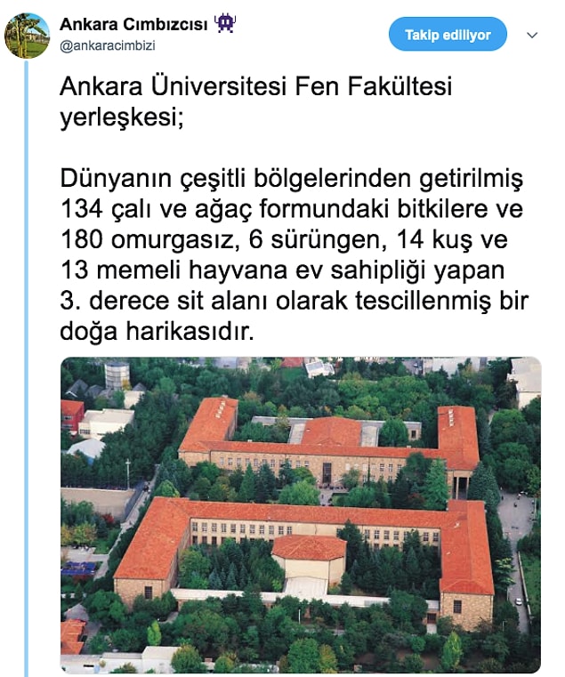 7.