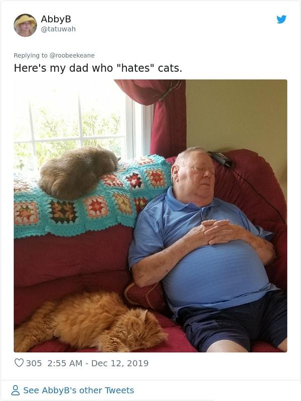 5. "İşte kedilerden nefret eden babam."