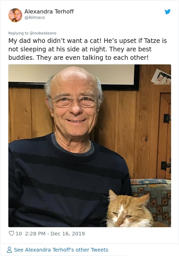 Evde Evcil Hayvan Istemeyen Insanlarin Sonrasinda Sevgi Yumagina Donusmesiyle Ortaya Cikan 25 Minnos Goruntu