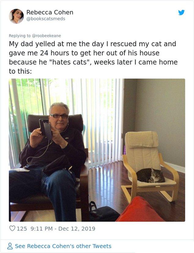 8. "Kedimi kurtardığım gün babam bana bağırdı ve onu evden göndermem için bana 24 saat verdi çünkü kedilerden nefret ediyordu. Haftalar sonra bu görüntüyle karşılaştım:"