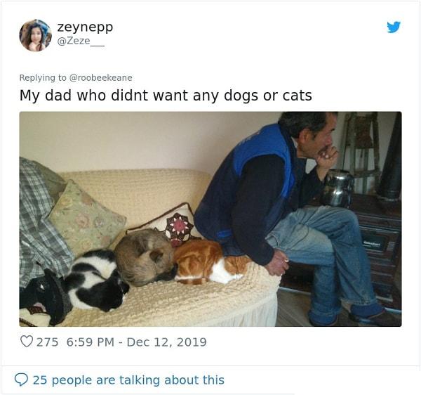 9. "Hiçbir kedi ya da köpek istemeyen babam."
