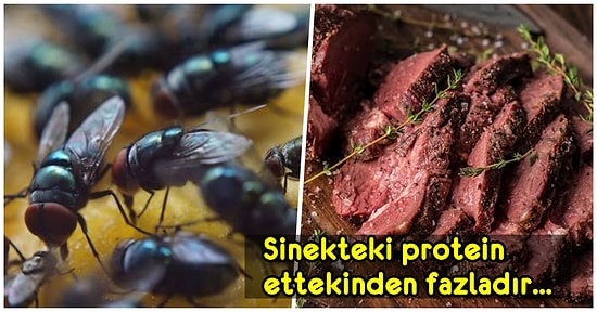 Öğrendiğinizde "Keşke Bunları Hiç Duymasaydım" Dedirtecek 15 Rahatsız Edici Gerçek