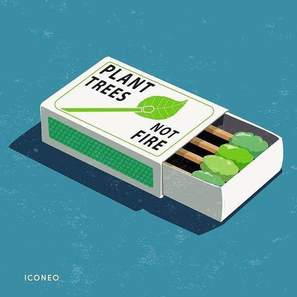 4. Мы разрушаем природу и не пытаемся это исправить.