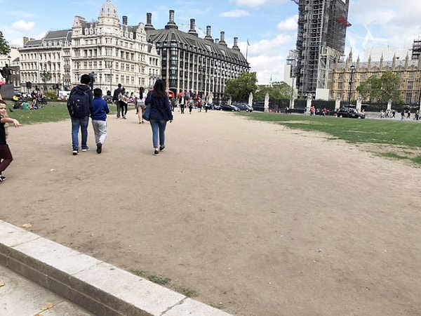 11. Газон, со временем превратившийся в дорогу