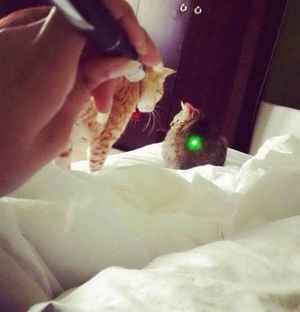 8. Чувак, карма вернется к тебе!