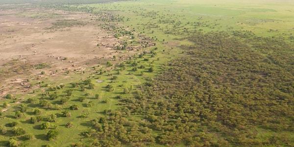 6. Great Green Wall'un yapımında 20 Afrika ülkesi yer aldı. Amacı ise Afrika'daki çölleşme ile mücadele etmek. Yaklaşık 32 milyon hektarlık bir alan şimdiden yeşillendirildi.