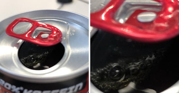 2. В этой банке спрятался маленький крокодильчик?