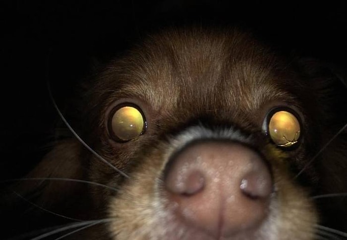 14 раз, когда испуг пришел, откуда его не ждали