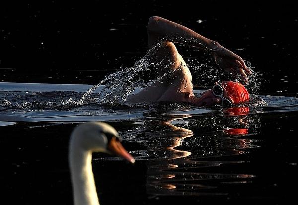 5. Londra'nın Yılan Gölü'nde sabahın erken saatlerinde antrenman yapan bir yüzücü