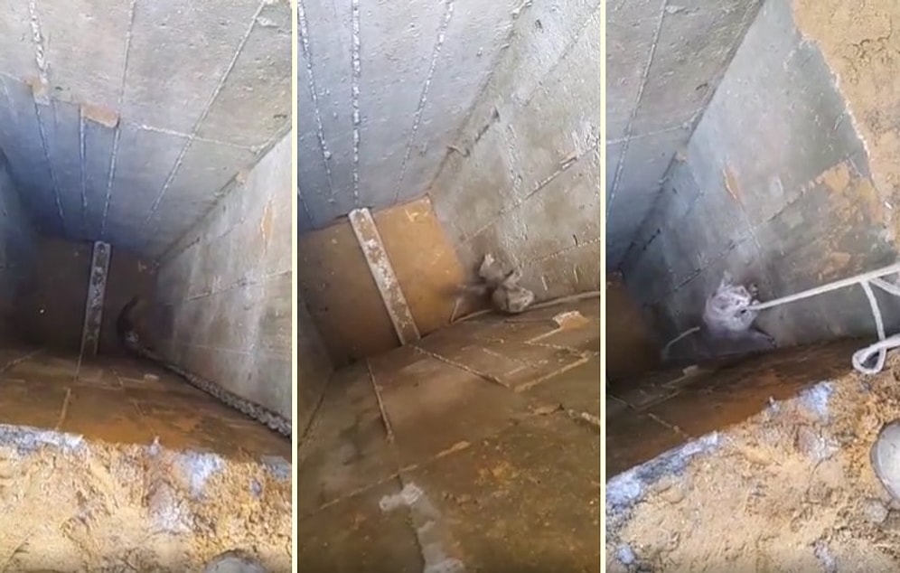 Kuyuya Düşen Kediyi Kurtarmak İçin Çabalayan Güzel İnsanlar!