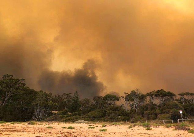 Yetkililer, artan sıcaklık, rüzgar ve yıldırımların etkisiyle Victoria ile Yeni Güney Galler eyaletlerindeki yangınların büyüdüğünü ifade etti.